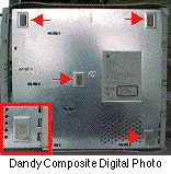 Dandy Composite Digital Photo