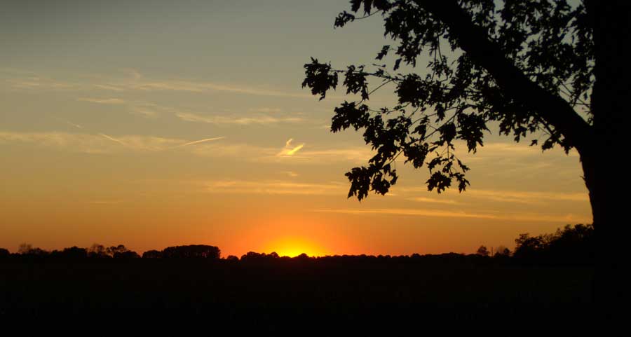 Sunset 10/29/08